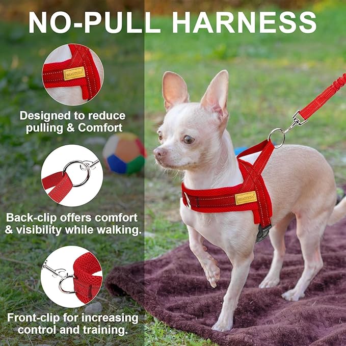BEAUTYZOO Dog Harness for Small Dogs, No Pull Dog Harness and Leash Set, Soft Escape Proof Puppy Vest Harness with Handle, Reflective Lightweight Step in Harness for Girl Boy Dogs, Red S
