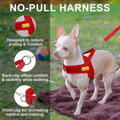 BEAUTYZOO Dog Harness for Small Dogs, No Pull Dog Harness and Leash Set, Soft Escape Proof Puppy Vest Harness with Handle, Reflective Lightweight Step in Harness for Girl Boy Dogs, Red XS