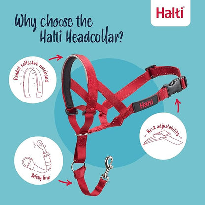 Halti Headcollar - Stop Your Dog Pulling on the Leash. Adjustable, Reflective and Lightweight, with Padded Nose Band. Dog Training Anti-Pull Collar for Medium Dogs (Size 3, Red)