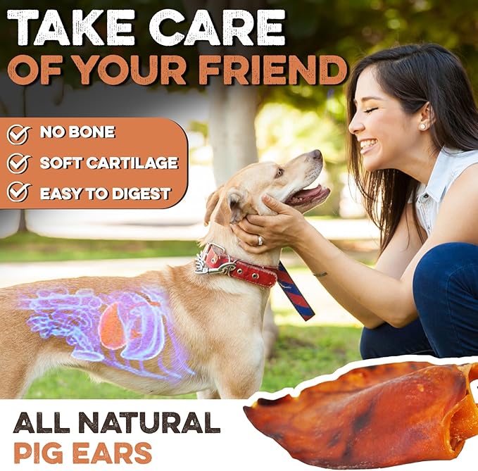 BRUTUS & BARNABY Whole Pig Ears for Dogs, 25 Ct. – All-Natural Single Ingredient Dog Chews, Slow Cooked & Fully Digestible Rawhide Alternative