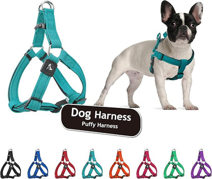 Kruz No Pull Dog Harness (Chest 21”-30”,Weight 22-53 lbs) Heavy-Duty Pet Harness for Medium Breeds, Ultra-Comfort Fit, Lifetime Durability, Adjustable Dog Harness No Pull Design (Mint Green, Medium)