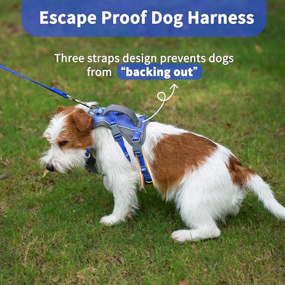 Huntboo Reflective Dog Harness with Handle, Escape Proof, No Slip, Breathable, Lightweight, Adjustable Lift Harness for Small, Medium, and Large Dogs Walking, Training, and Running Gear(Sea Blue,XS)