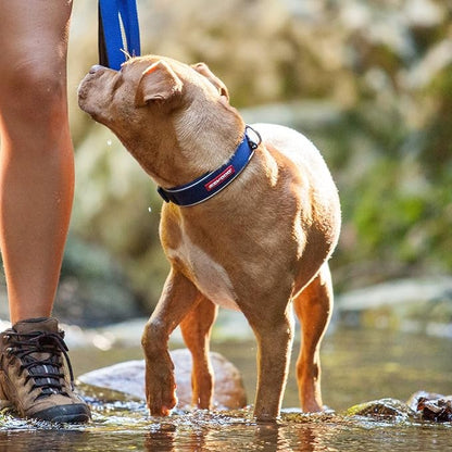 EzyDog Neo Dog Collar - Waterproof & Reflective Dog Collar with Soft Padded Neoprene for Comfort & Durable Nylon – Features Quick Release Buckle and Built-in ID Clip (Medium, Pink Camo)