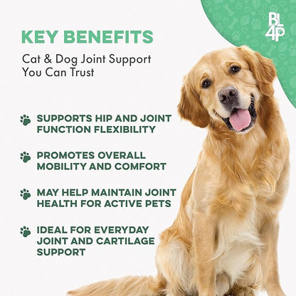 Walk-Easy Dog Hip & Joint Supplement, Effective Dog Pain Relief and Anti-Inflammatory Supplement for Mobility, Canine Joint Pain Relief, ACL Tears, Limping, Knee and Back Aches, Easy to Give 2 Pack