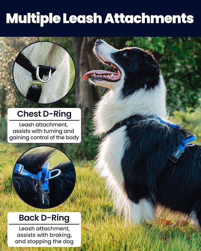 Non-Restrictive Dog Harness, Easy Walk Freedom No Pull Harness, Keep Balance, Neck-Buckle, Six Points Adjustment, 2 Leash Clips for Back and Front Clip (Red/Black, X-Large)