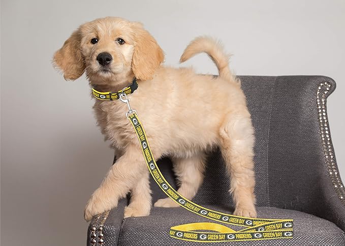 Pets First NFL Pets NFL
