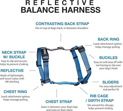 Blue-9 Reflective Buckle-Neck Balance Harness, Fully Customizable Fit No-Pull Harness with 3M Reflective Stitching, Ideal for Dog Training and Obedience, Made in The USA, Blue, Medium/Large