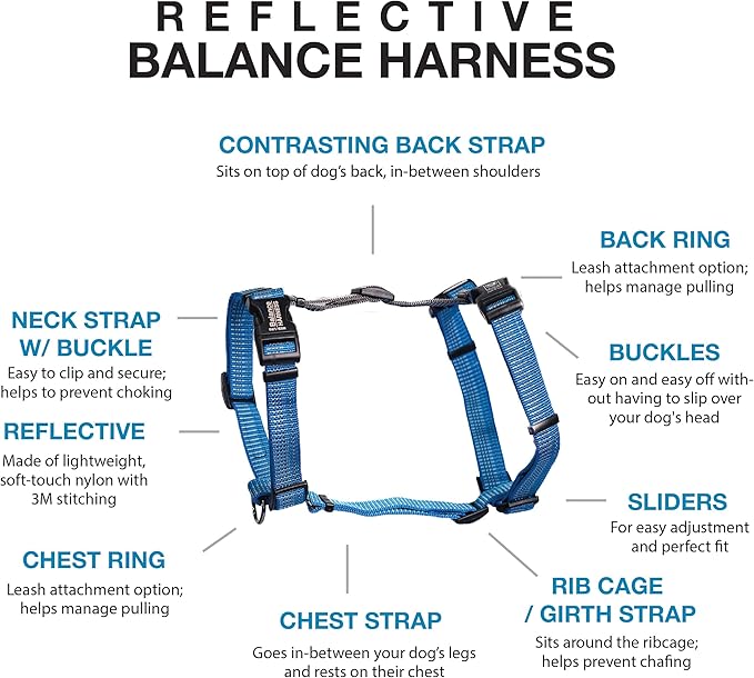 Blue-9 Reflective Buckle-Neck Balance Harness, Fully Customizable Fit No-Pull Harness with 3M Reflective Stitching, Ideal for Dog Training and Obedience, Made in The USA, Blue, Large