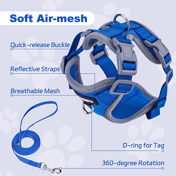 Small Dog Harness and Leash Set, No Pull Adjustable Pet Harness for Small Dogs, Breathable Mesh Rflective Dog Vest Harness (Blue, XXS)