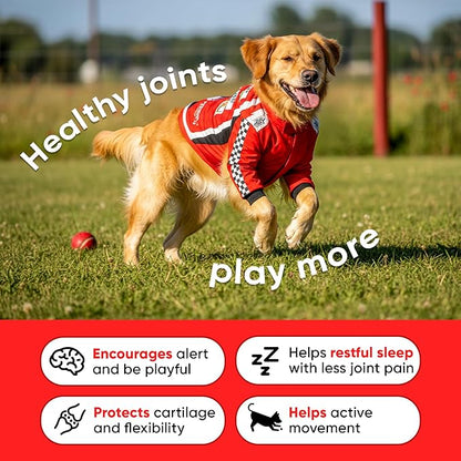 Hip & Joint Supplement for Dogs - Dog Treats with Glucosamine Chondroitin & Hyaluronic Acid - Chews for Mobility Support - Pain and Inflammation Relief - Tasty Dog Supplements for Comfort - 180 Count