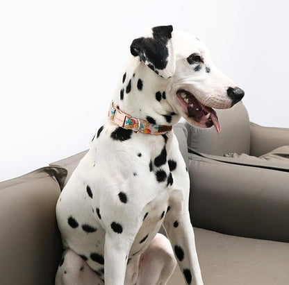 Unique style paws Dog Collar Metal Buckle Orange Collar Gift Durable Cute Collar for Small Medium Large Boys Girls Dogs