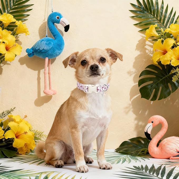DOGWONG Cute Pet Dog Collar Pink Flamingos Cotton Dog Collar- Soft Girl Puppy Adjustable Pet Collars for Small Medium Large Dogs,S