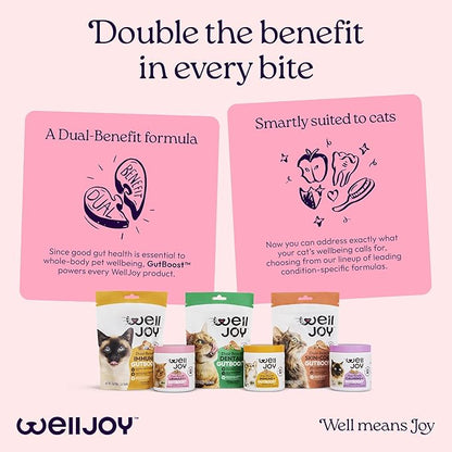 New! WellJoy Cat Supplement Urinary+ GutBoost | Cat Health Supplement | Supports Urinary Tract Health | Dual-Benefit GutBoost Formulation | Vet Formulated | USA Made | Chicken Flavor | 90 Soft Chews