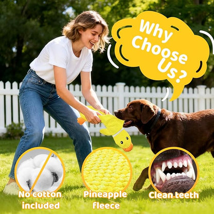 2 Pack Dog Toys for Small Dogs, Interactive Puzzle Toys,Squeaky & Crinkly, Stuffing-Free with Treat Pockets and a Water Bottle Pocket, Ideal for Puppy Small Pet Dogs
