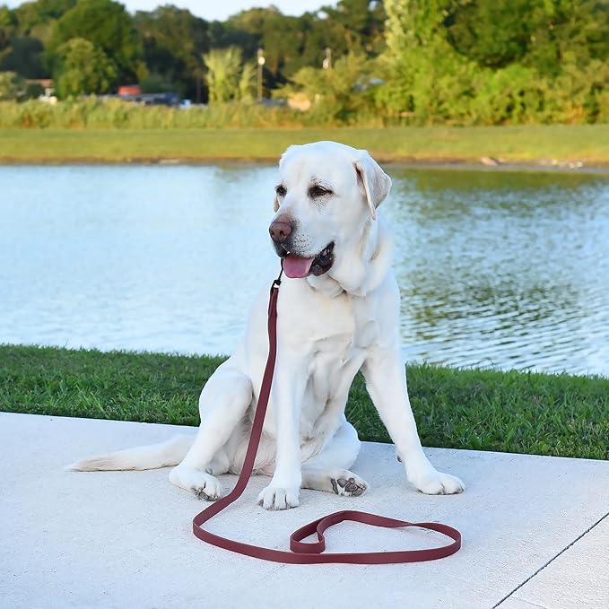 Dogline Biothane Waterproof Dog Leash Strong Coated Nylon Webbing with Black Hardware Odor-Proof Easy to Clean High Performance for Small or Large Dogs Made in USA 4 or 6 ft Lead, Merlot Burgundy