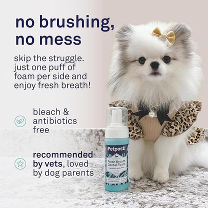 Petpost | Fresh Breath Foam for Dogs - Mint & Apple Flavored Dental Solution That Eliminates Bad Breath - Natural Tooth Cleaning Treatment 5 oz.