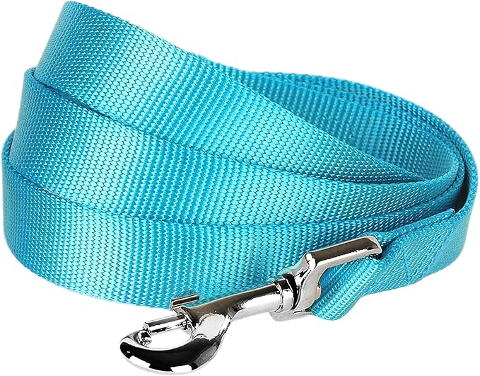 Blueberry Pet Essentials Turquoise Dog Leash for Medium - 5' * 3/4" Dogs | Heavy Duty Nylon Lead | Lightweight Puppy & Cat Leash for Walking & Training