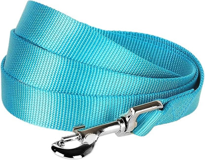 Blueberry Pet Essentials Turquoise Dog Leash for Small -5' * 5/8" Dogs | Heavy Duty Nylon Lead | Lightweight Puppy & Cat Leash for Walking & Training