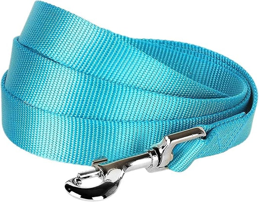 Blueberry Pet Essentials Turquoise Dog Leash for Small -5' * 5/8" Dogs | Heavy Duty Nylon Lead | Lightweight Puppy & Cat Leash for Walking & Training