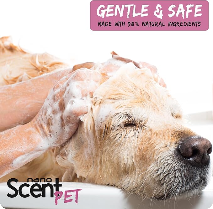 nanoSCENT Pet Shampoo with Sea Salt for Dogs & Cats – Nano Tech Long-Lasting Fresh Clean Scent, Eliminates Odors All Day, Professional-Strength Formula, 13× Longer Lasting - Floral Daze (200mL)