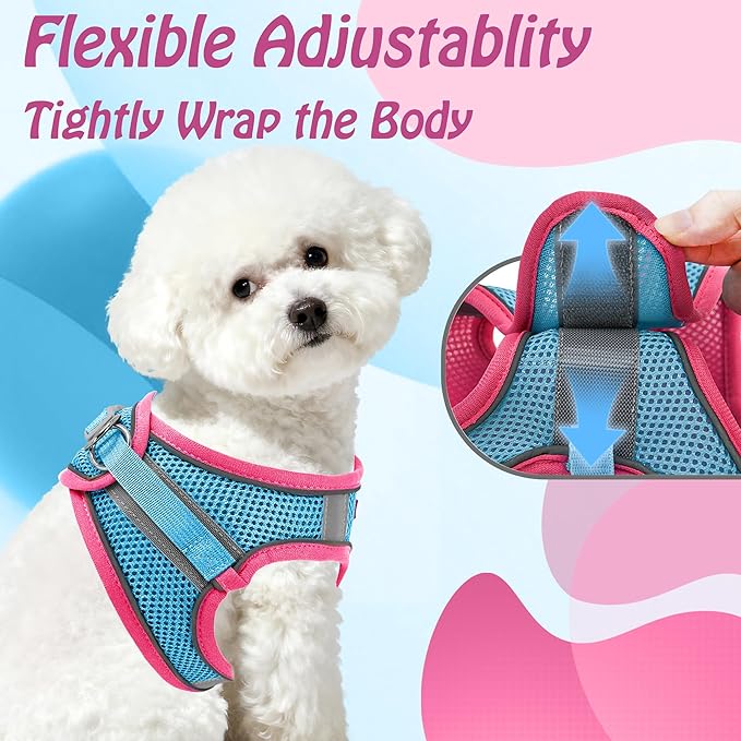 AIITLE Comfortable Dog Harness and Leash Set for Walking - Step in Vest Harness,Reflective Bands, Adjustable No Pull Puppy Essentials, for Small Dogs and House Cats Pink XS