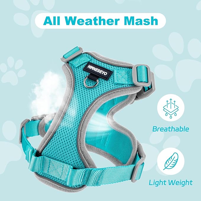 Small Dog Harness and Leash Set, No Pull Adjustable Pet Harness for Small Dogs, Breathable Mesh Rflective Dog Vest Harness (Turquoise, M)