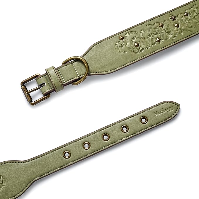 Blueberry Pet Premium Embossed Sage Green Glam Silver-Powered Freshness Microfiber Leather Dog Collar with Antique Brass Studs