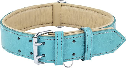 Riparo Adjustable Leather Dog Collar - Heavy Duty Wide Dog Collar for Small, Medium, Large and Extra Large Dogs with Dog Tag Holder (L: 1.5" Wide for 17"-21" Neck, Aqua)