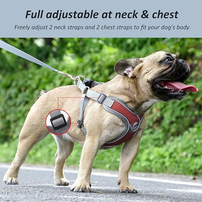 Dog Harness with Leash Set, Adjustable Step in with Breathable Padded Puppy Harness for Walking Escape Proof Small Dogs (XS, Red)