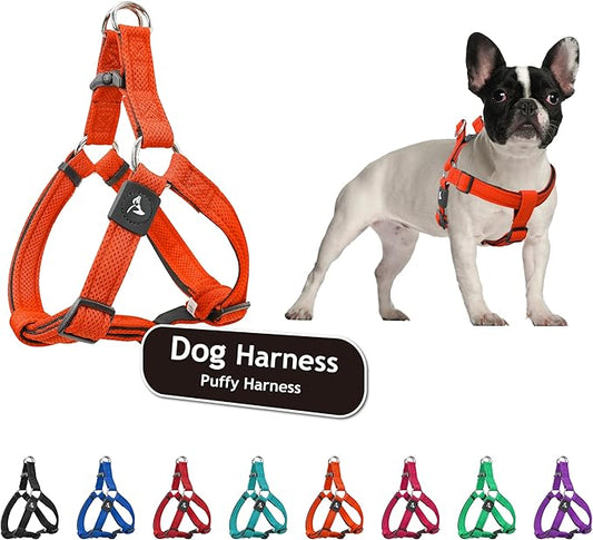 Kruz No Pull Dog Harness (Chest 26”-38”, Weight 44-88 lbs) Heavy-Duty Pet Harness for Large Breeds, Ultra-Comfort Fit, Lifetime Durability, Adjustable Dog Harness No Pull Design (Orange, Large)
