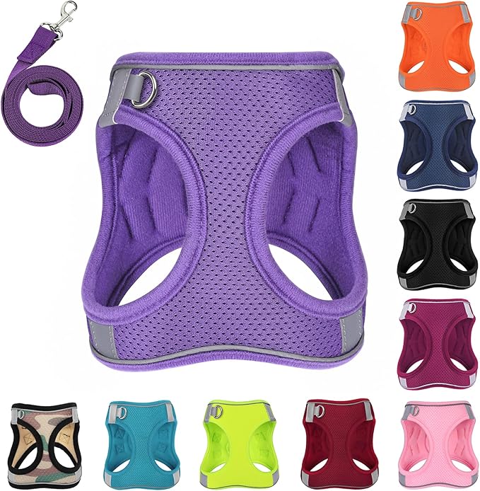 Dog Harness with Leash Set, No-Pull Step-in Reflective Pet Harness with 1 Leash Clips, Adjustable Soft Padded Easy Walk Dog Vest for Small Medium Large Dogs, Cats(Light Purple, XSmall)