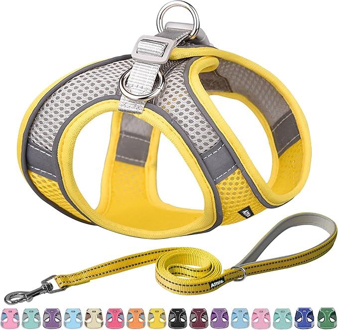 AIITLE No Pull Dog Harness and Leash Set, Step in Adjustable Dog Harness with Padded Vest for All Weather, Dog Leash with Soft Padded Handle, Easy to Put on Small and Medium Dogs Yellow S