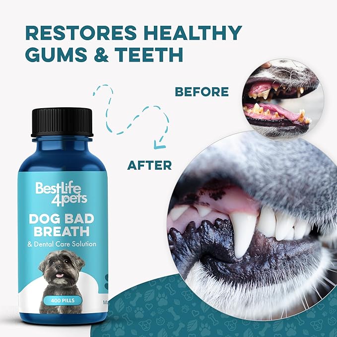 Dog Bad Breath & Dental Care Solution, Supports Canine Oral Health, Relieves Stinky Breath, Tooth Pain, Red Swollen Gums, Helps Reduce Plaque and Gingivitis, 400 Odorless, Tasteless Easy to Use Pills