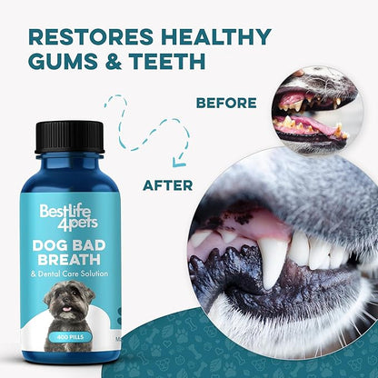 Dog Bad Breath & Dental Care Solution, Supports Canine Oral Health, Relieves Stinky Breath, Tooth Pain, Red Swollen Gums, Helps Reduce Plaque and Gingivitis, 400 Odorless, Tasteless Easy to Use Pills