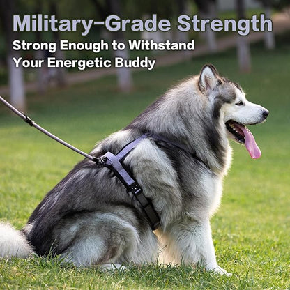 PawsPassion Dog Harness for Medium Dogs, No Pull Dog Harness Easy Walk with Metal Hardware, Ergonomic Y-Shaped Design, Soft Padding, Padded Handle, Durable High-Tensile Nylon (Lilac Breeze, M)