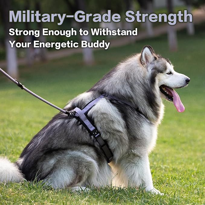PawsPassion Dog Harness for Large Dogs, No Pull Dog Harness Easy Walk with Metal Hardware, Ergonomic Y-Shaped Design, Soft Padding, Padded Handle, Durable High-Tensile Nylon (Lilac Breeze, L)