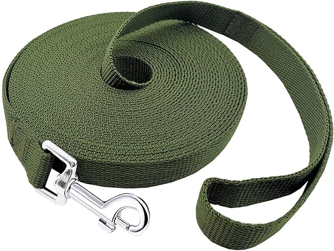 PETGOGO 15ft 20ft 30ft 40ft 50ft Long Dog/Puppy Lead Obedience Recall Training Dog Leashes for Small Medium Dogs Camping, Training, Play, or Backyard (Green, 1" x 20FT)