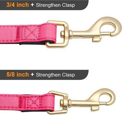 Didog 5FT Colorful Nylon Dog Leash with Soft Full-Length Padding, Lightweight and Durable Pet Leash for Small Dogs, Pink, S