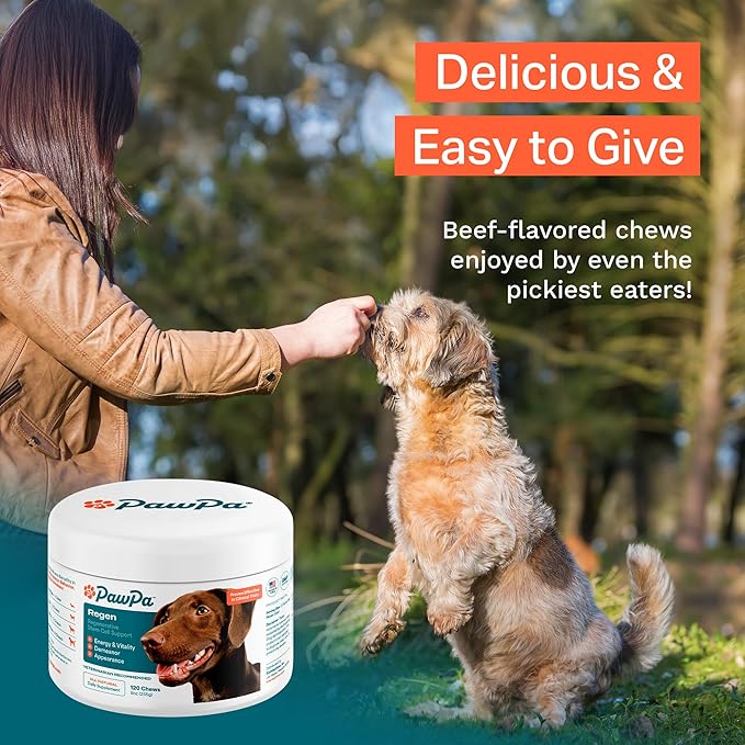 PawPa Regen, 120 Chews Veterinarian Recommended Regenerative Stem Cell Supplement for Senior Dogs, Supports Mobility, Appearance, Alertness, Hip & Joint, Delicious Beef Flavor Chews