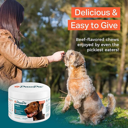 PawPa Regen, 120 Chews Veterinarian Recommended Regenerative Stem Cell Supplement for Senior Dogs, Supports Mobility, Appearance, Alertness, Hip & Joint, Delicious Beef Flavor Chews