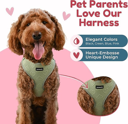 No-Pull, No-Choke Dog Harness & Leash Set – Stylish & Fun – Lightweight, Breathable Neoprene – Unique Heart Pattern – Adjustable for Extra Small Dogs (Harness Leash Set-Green, XX-Small)