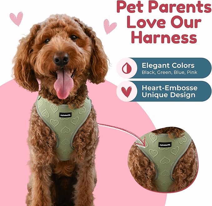 No-Pull, No-Choke Dog Harness & Leash Set – Stylish & Fun – Lightweight, Breathable Neoprene – Unique Heart Pattern – Adjustable for Large Dogs (Harness Leash Set-Green, L-Large)