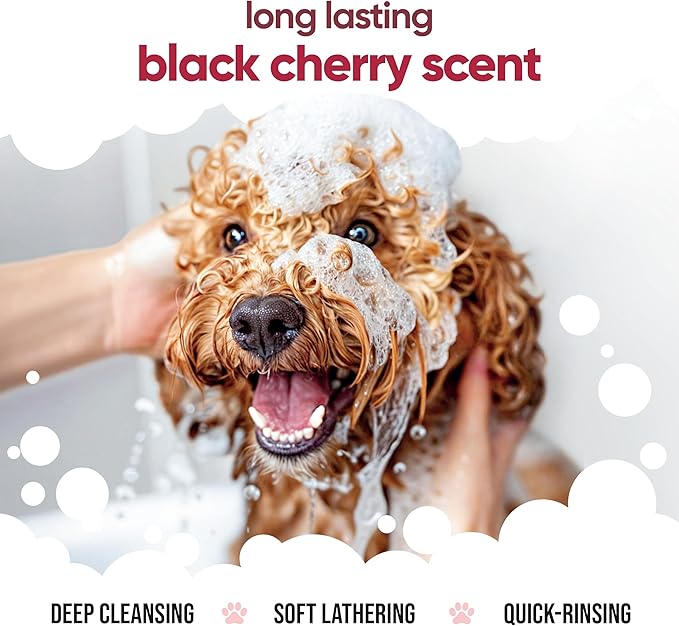 Black Cherry Dog Shampoo by Buddycare | Dry Skin & Itchy Skin Relief for Smelly Dogs | Deep Cleansing for Dogs Puppy Sensitive Skin | Dog Shampoo & Conditioner | with Aloe & Vitamin B5 (16.90oz)