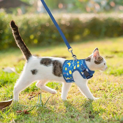 BINGPET Cat Harness with Leash Escape Proof - Fashionable Mesh Cat Dog Walking Harness Leads, Adjustable for Kitties Puppies Small Animals,Galaxy,M