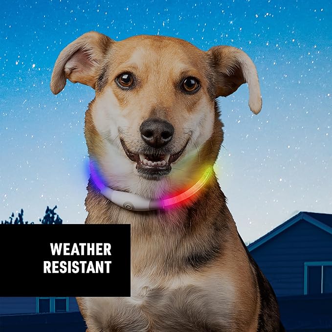 Nite Ize NiteHowl Mini Rechargeable LED Safety Necklace, Disc-O Select - Light Up Dog Necklace with LED Lights - Dog Accessories with Rechargeable Batteries - Mini, Disc-O Select