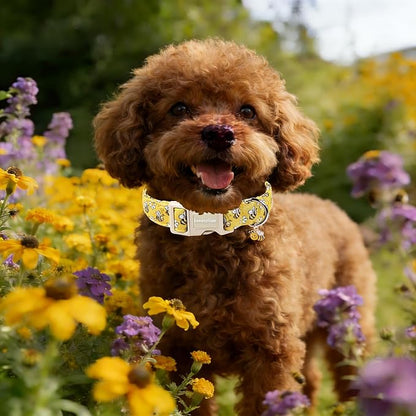 Lionet Paws Spring Dog Collar- Cute Bees Yellow Dogs Collar with Plastic Buckle and Bee Pendant,Dog Collar for Small Medium Dogs