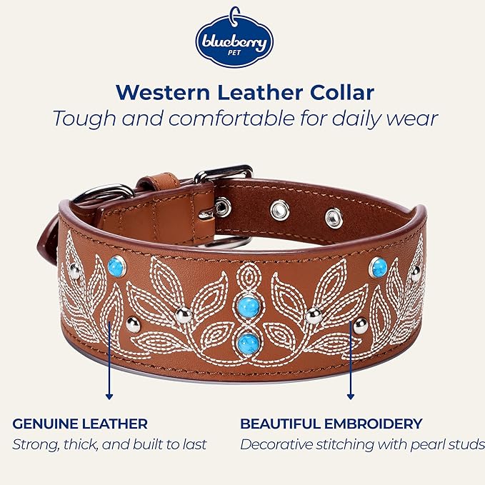 Blueberry Pet Genuine Leather Dog Collar - Western-Inspired Brown Leather Dog Collar for Large Dogs with Floral Embroidery & Turquoise Studs, 18-22 Inch Adjustable & Durable for City Pet Owners
