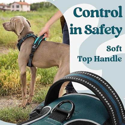 rabbitgoo Dog Harness for Large, No Pull Pet Harness with 3 Buckles, Adjustable Soft Padded Vest with Control Handle, Walking Reflective Pet Vest for Extra Large Dogs,Blue Coral,XL
