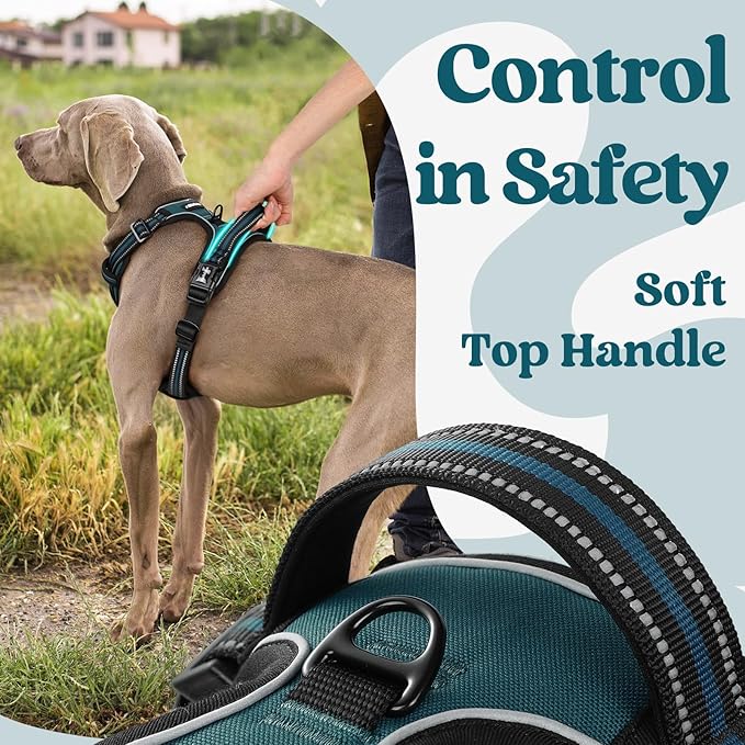 rabbitgoo Dog Harness for Large, No Pull Pet Harness with 3 Buckles, Adjustable Soft Padded Vest with Control Handle, Walking Reflective Pet Vest for Large Dogs, Blue Coral, L