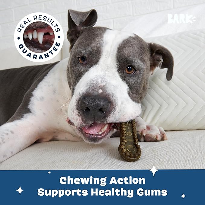 Barkbox Bright Durable Dental Chew Sticks for Dogs - 15 Chews Made for Tough Chewers, Large Breeds